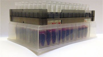 BioSPME Extraction Setup, Tips Shown Inserted into Blood Sample