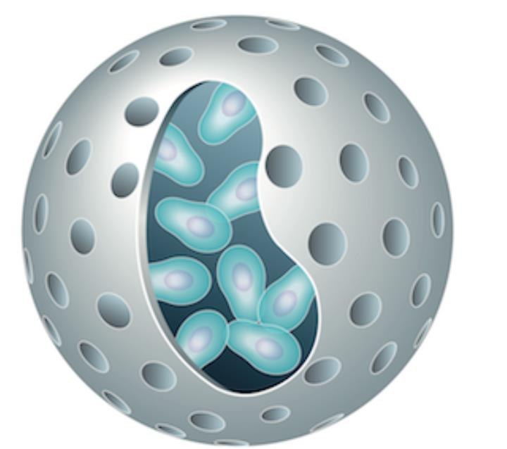 What is Cell-in-a-Box® Technology