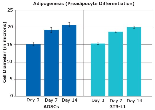 Cell diameters of ADSCs and 3T3-L1 cells undergo comparable increases