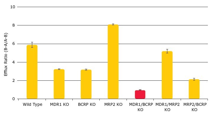 Cimetidine transport. Values are the mean +/- standard deviation, n ≥3 assays of triplicates