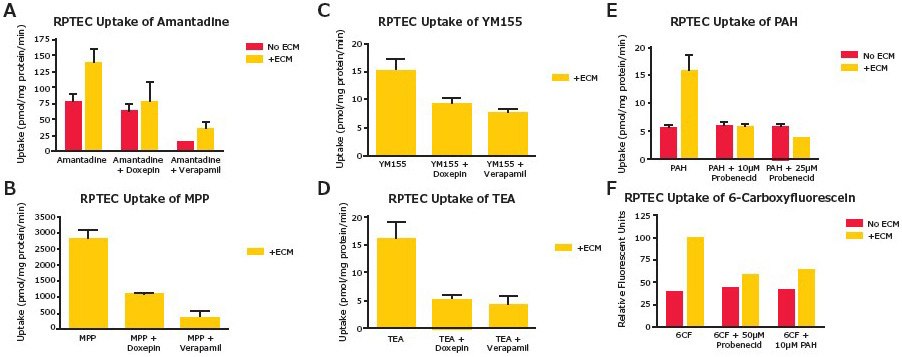 SA7K transporter function assays. Assays were performed in 24-well plates with or without ECM. Inhibitors were pre-incubated for 10 minutes before adding substrates. After incubating for 10 minutes, uptake was measured by LC-MS/MS.