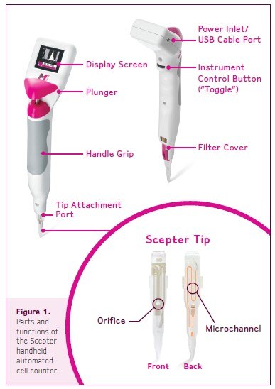 Parts and function of the Scepter handled Parts and function of the Scepter handled