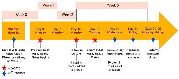 Workflow of Caco-2 plates for North America delivery.