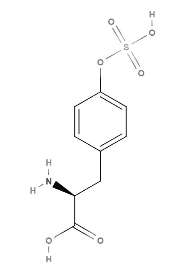 Structure of L-tyrosine Chemical structure of sulfotyrosine Keywords: sulfotyrosine, tyrosine, amino acids