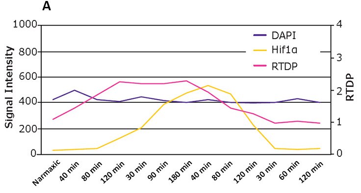 chemoresistance-changes-f