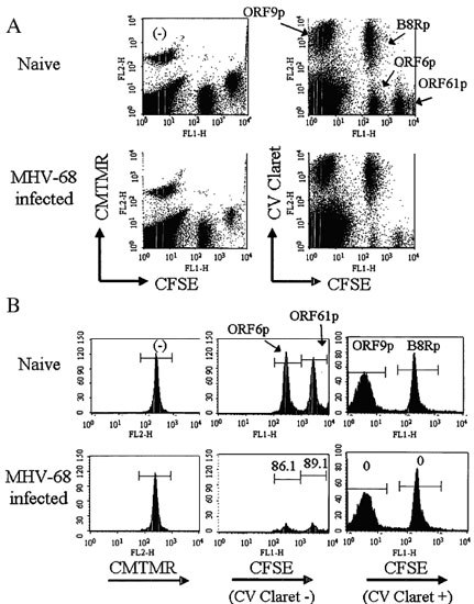 Color coding of target populations