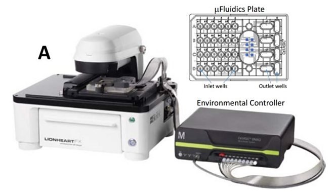 live cell imaging platform