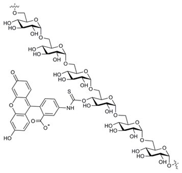 Fluorescein Isothiocyanate Dextran Structure Fluorescein Isothiocyanate Dextran Structure