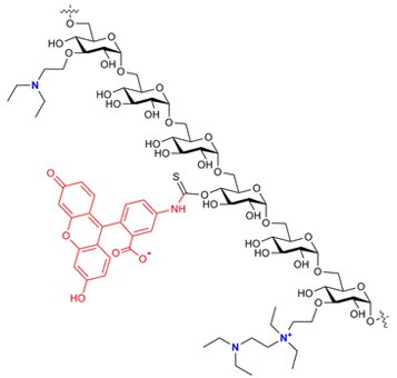 FITC-DEAE-Dextran Structure FITC-DEAE-Dextran Structure