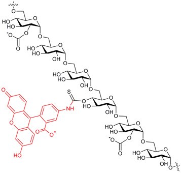 FITC-Carboxymethyl-Dextran Structure FITC-Carboxymethyl-Dextran Structure