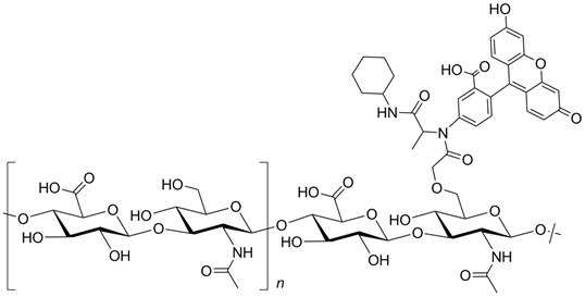 Fluorescein Hyaluronic Acid Structure Fluorescein Hyaluronic Acid Structure