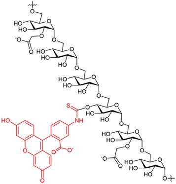 Fluorescence scan of FITC-CM-dextran in 0.025M borate pH 9.0 (10mg in 50 mL buffer). Excitation 493nm; Emission 519nm. Fluorescence scan of FITC-CM-dextran in 0.025M borate pH 9.0 (10mg in 50 mL buffer). Excitation 493nm; Emission 519nm.