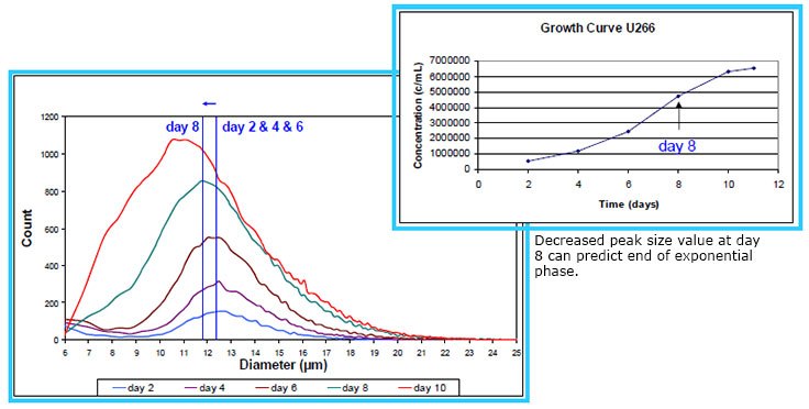 u266-suspension-cell-line-human-myeloma-cells u266-suspension-cell-line-human-myeloma-cells