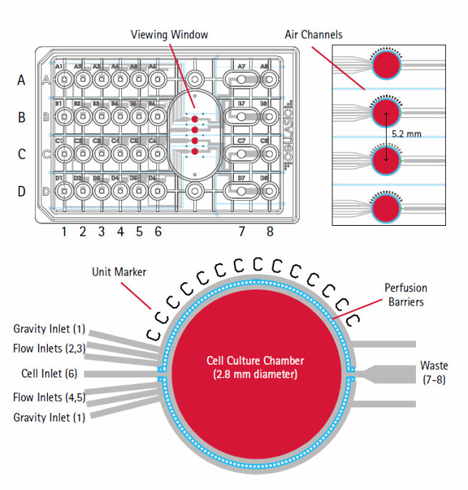 The M04S plate contains four independent flow units (A-D), each with four upstream solution inlets, a gravity flow inlet, a cell inlet, and two waste wells. The culture chamber is 2.8 mm in diameter (120 µm height) and is surrounded with a microfabricated perfusion barrier. Inlet 1 is a gravity flow well, allowing long-term cell culture in a standard incubator without a pressure system. Continuous flow of solutions from inlets 2-5 can create a dynamic exposure profile for viewing responses in live cells. he M04S plate contains four independent flow units (A-D), each with four upstream solution inlets