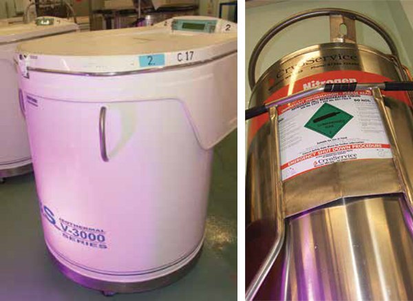 Common liquid nitrogen storage tanks used for cell cryopreservation