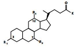 Structural Overview of Bile Acids and Conjugated Salts with Corresponding m/z Values Structural Overview of Bile Acids and Conjugated Salts with Corresponding m/z Values