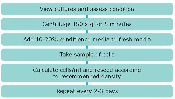 Subculture of Suspension Cell Lines Subculture of Suspension Cell Lines