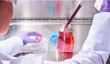 Working in Safety Cabinet Working in Safety Cabinet