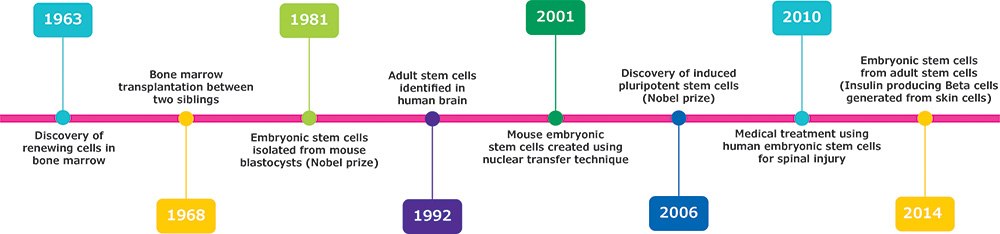 Pluripotent and multipotent stem cells