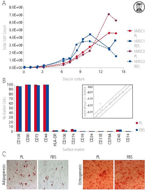 <strong>Equivalent biomarker expression and differentiation potential in hMSCs expanded with PLTMax<sup>®</sup>(hPL) vs. FBS in Mobius<sup>®</sup> bioreactors. A</strong>) hMSCs derived from two adult bone marrow donations (hMSC1 or hMSC3) were expanded in Mobius® CellReady 3L bioreactors in DMEM+5 % PLTMax<sup>®</sup> or DMEM+10 %FBS. <strong>B</strong>) hMSC1 cells were analyzed on day 14 by flow cytometry (bar graph) or RT-PCR (inset). Equivalent surface marker levels were detected on hMSCs expanded with PLTMax<sup>®</sup> in comparison to FBS. Of the 46 hMSC-relevant genes examined, 96 % had high correlation between the two conditions. <strong>C</strong>) Cells harvested on day 14 were positive for the adipocyte stain Oil Red and for the osteocyte stain Alizarin Red, following the respective differentiation protocols. Equivalent biomarker expression