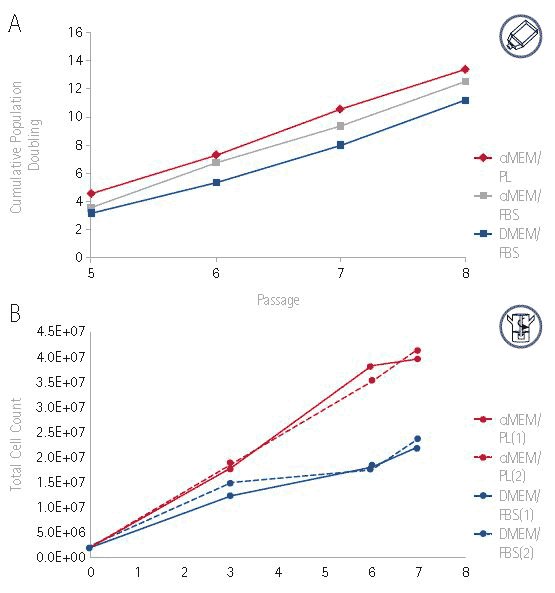 <strong>PLTMax<sup>®</sup> hPL supports superior expansion of hMSCs vs. DMEM + FBS in tissue culture and spinner flasks</strong>. <strong>A</strong>) Growth of hMSCs cultured in αMEM supplemented with 5 % PLTMax<sup>®</sup> hPL or 10 % FBS as compared to DMEM + 10 % FBS over 4 passages in T150 flasks, or <strong>B</strong>) in duplicate 125 mL spinner flasks or 7 days, demonstrating enhanced growth in αMEM + PLTMax<sup>®</sup> hPL. Growth of hMSCs cultured in αMEM supplemented