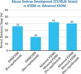 Mouse embryo development Mouse embryo development