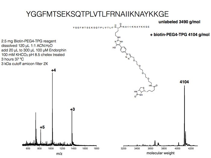 Representative Applications