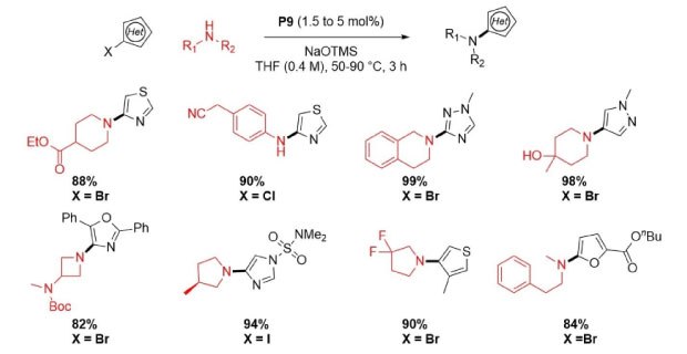 Reaction scheme showing a Buchwald Hartwig amination of  base sensitive five-membered heteroaryl halides and aliphatic amines using P9 precatalyst from Table 1 with different X groups including Br, Cl, and I on different heteroaryl-X