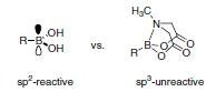 Comparison of sp2 and sp3-hybridized boron species