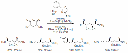 syn-deoxypolypropionate fragments syn-deoxypolypropionate fragments