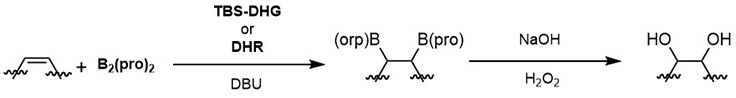 General scheme for the enantioselective diboration of alkenes with B2(pro)2 and carbohydrate-derived catalysts, TBS-DHG and DHR. enantioselective-diboration-alkenes-scheme