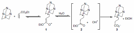 The authors also presented reasonable evidence implicating the phosphorus-bound Michael adduct 1 by preparation of species 3 via reaction of PTA with ethyl acrylate in THF-H2O The authors also presented reasonable evidence implicating the phosphorus-bound Michael adduct 1 by preparation of species 3 via reaction of PTA with ethyl acrylate in THF-H2O