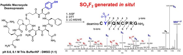 AISF can be applied to peptide functionalization AISF can be applied to peptide functionalization