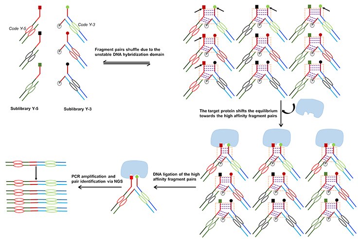 dynamic-dna-encoded-libraries dynamic-dna-encoded-libraries
