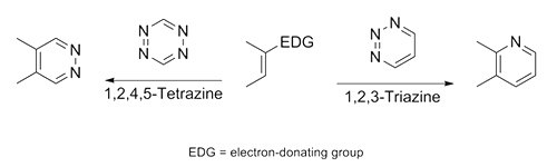 Bioorthogonal conjugation studies