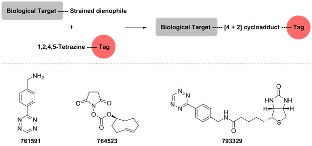 Bioconjugation strategies