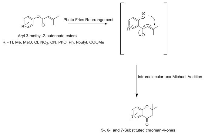 Oxa Michael Addition Reaction