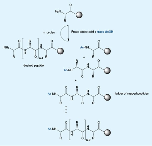 Methods for quantitation of acetic acid Methods for quantitation of acetic acid