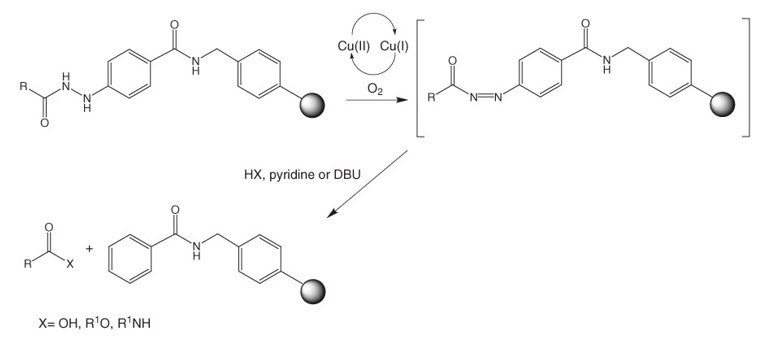 applications-fmoc-4-hydrazinobenzoyl-resins applications-fmoc-4-hydrazinobenzoyl-resins