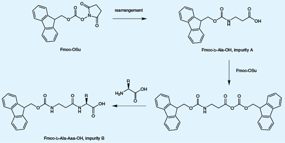 Ring opening and rearrangement of Fmoc-OSu Ring opening and rearrangement of Fmoc-OSu