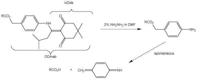 removal-of-dmab