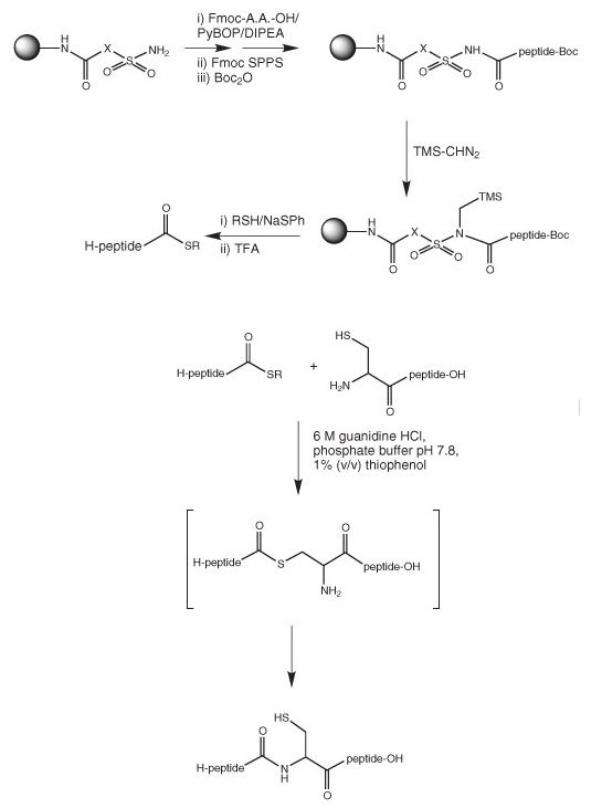 synthesis-of-thioesters synthesis-of-thioesters