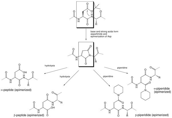 vkdxyi-peptidyl-resins Aspartimide formation, showing potential by-products.