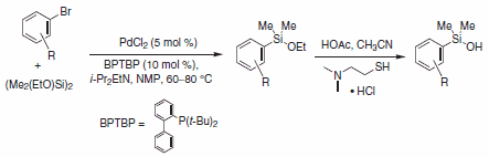 Dimethylsilanols-Scheme 14.