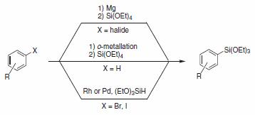 v6-Scheme 22.
