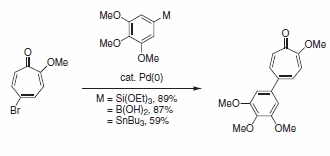 v6-Scheme 23