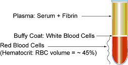 Blood Composition Blood Composition
