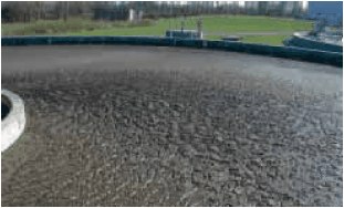 View of the final sedimentation basin with floating sludge
