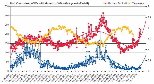 Graph of the sludge volume index compared to the cell concentration of Microthrix parvicella