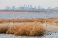 total-nitrogen-testing